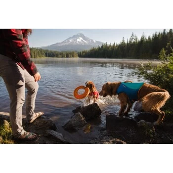 Ruffwear Hydro Plane™ Spielzeug M Orange – Bild 4