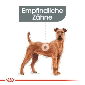 ROYAL CANIN Dental Care Medium 10 Kg – Bild 6