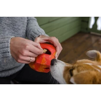 Ruffwear Gnawt-a-Rock™ Spielzeug Blau – Bild 7