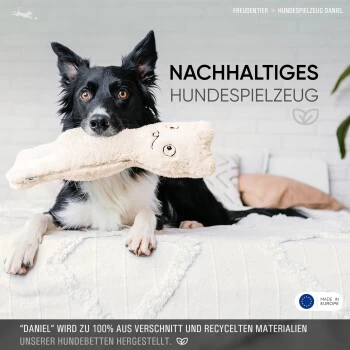 Freudentier Nachhaltiges Hundespielzeug Daniel – Bild 6