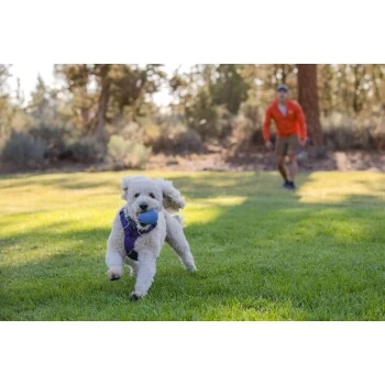 Ruffwear Huckama™ Spielzeug Violett – Bild 6