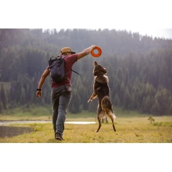 Ruffwear Hydro Plane™ Spielzeug M Orange – Bild 7