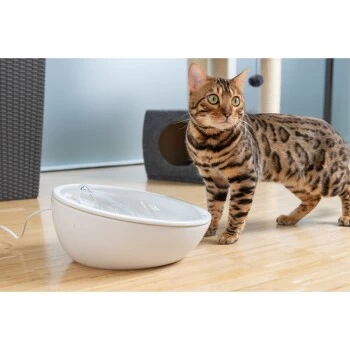 AniOne Keramik-Trinkbrunnen Waterfall Weiß Ohne Ersatzfilter – Bild 2