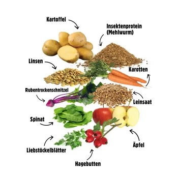 Eat Small EatSmall 10kg Mini Balance Trockenfutter – Bild 6