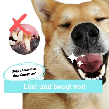 BeG Buddy Zahn Weiß Dental Spray, Zahnpflege & Maulhygiene Hund – Bild 3