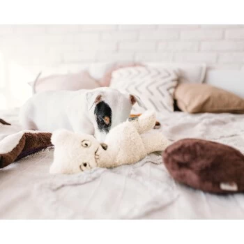 Freudentier Nachhaltiges Hundespielzeug Daniel – Bild 2