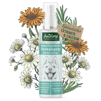 Aniforte Dentalspray Zahnpflege Spray 100ml