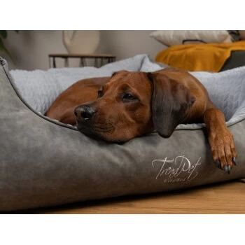 TrendPet VitaBed Style Orthopädisches Hundebett Grau S – Bild 4