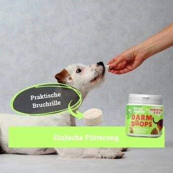 BeG Buddy Magen & Darm Tabletten Hund, Präbiotika Zur Darmsanierung, Verdauung, Durchfall, Blähungen – Bild 2