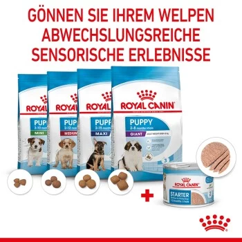 ROYAL CANIN Starter Mousse 12x195g – Bild 2