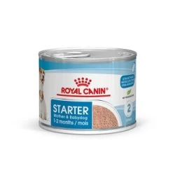 ROYAL CANIN Starter Mousse 12x195g