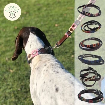 Kipita Polo Hundeleine Gentle – Bild 4