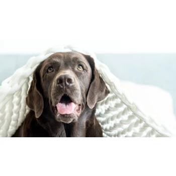 Mammaly Relax Time 110g – Bild 7