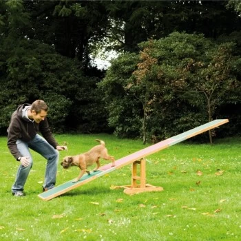 Trixie Agility Wippe – Bild 2