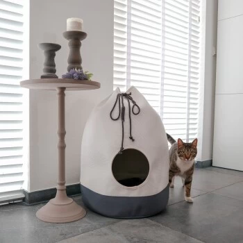 District 70 Höhle Casa Grau – Bild 3