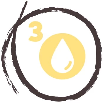 PREMIERE RAW KITCHEN 5-Pflanzen-Öl 250ml – Bild 4