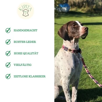 Kipita Polo Hundeleine Gentle – Bild 6