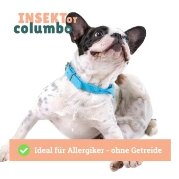 BeG Buddy Trockenfutter Insekten, Hypoallergenes Insektenfutter - Sensitive 4 Kg – Bild 6