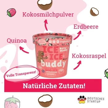 BeG Buddy Starter-Kit Hundeeis, Eis, Erdbeere – Bild 2