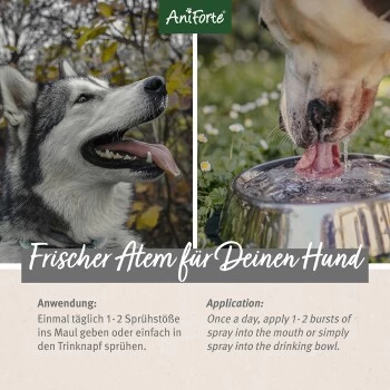 Aniforte Dentalspray Zahnpflege Spray 100ml – Bild 3