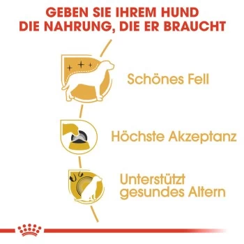 ROYAL CANIN Yorkshire Terrier Adult 1,5 Kg – Bild 5