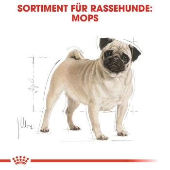 ROYAL CANIN Mops Adult 3 Kg – Bild 5