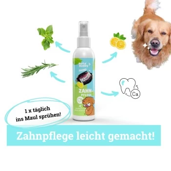 BeG Buddy Zahn Weiß Dental Spray, Zahnpflege & Maulhygiene Hund – Bild 2