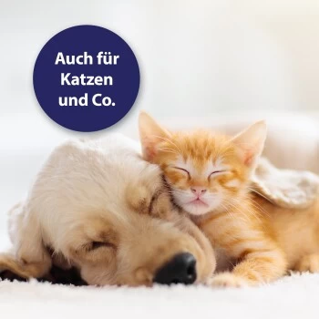 Canosept Wundgel Für Hunde 20 Ml – Bild 5