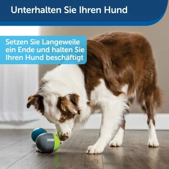 PetSafe Elektronisches Hundespielzeug Ricochet – Bild 6