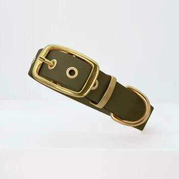 THE DOG IDEA Biothane Halsband Gold Khaki M – Bild 3