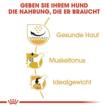 ROYAL CANIN Mops Adult 3 Kg – Bild 6