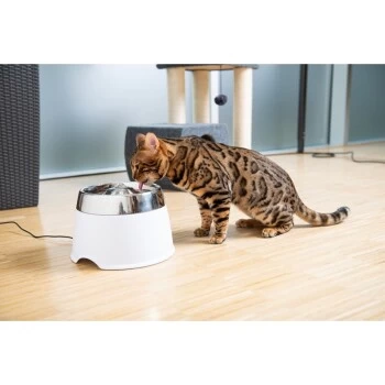 AniOne Edelstahl-Trinkbrunnen Trevi Ohne Ersatzfilter – Bild 3