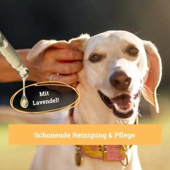 BeG Buddy Ohrreiniger Für Hunde, Juckreiz, Verschmutzung & Ohrmilben, Ohrenpflege Hund – Bild 5