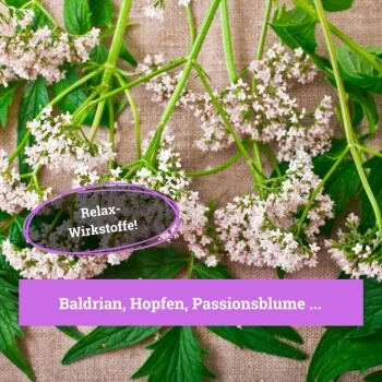 BeG Buddy Beruhigungsmittel Anti Stress – Bild 3