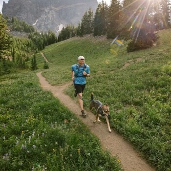 Ruffwear Geschirr Front Range Royal S – Bild 2