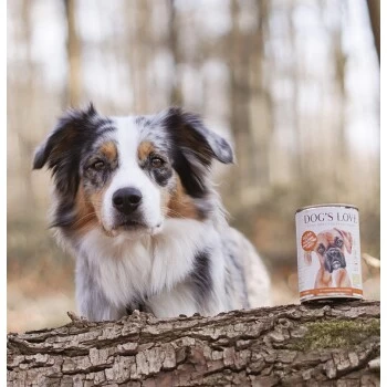 DOG'S LOVE BIO 6x400g Pute Mit Amaranth & Kürbis – Bild 3