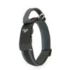 Julius K9 JULIUS-K9 Halsband Mit Griff 40mm Schwarz/ Grau