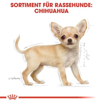 ROYAL CANIN Chihuahua Puppy 1,5 Kg – Bild 5