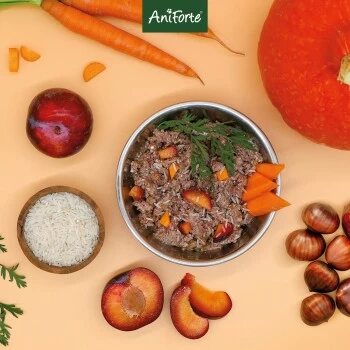 Aniforte FarmsLamb Lamm Mit Kürbis 2,4 Kg – Bild 7