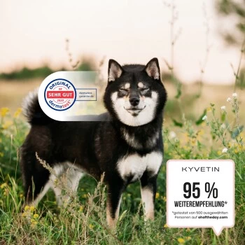 KYVETIN Spray Skin Repair Für Hunde Und Katzen – Bild 5