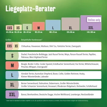 FIT+FUN Liegeplatz Sparkle XS – Bild 3