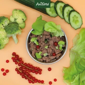 Aniforte GreenfieldTurkey Pute Mit Quinoa 2,4 Kg – Bild 8