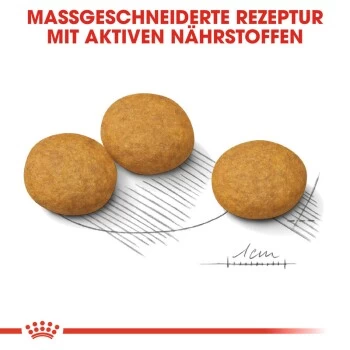 ROYAL CANIN Dermacomfort Medium 12 Kg – Bild 7