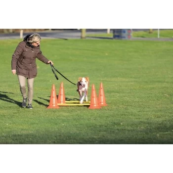 Trixie Dog Activity Hindernisse Ø30x50cm – Bild 4