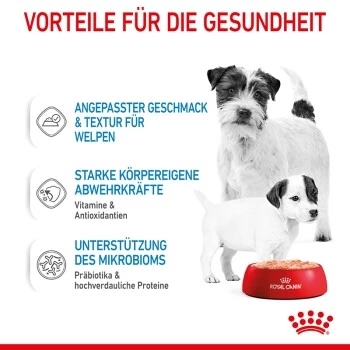 ROYAL CANIN Starter Mousse 12x195g – Bild 6