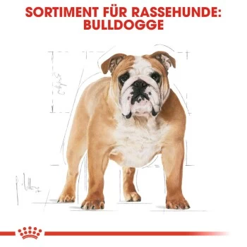 ROYAL CANIN Bulldog Adult 3 Kg – Bild 6