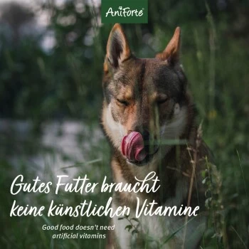 Aniforte GreenfieldTurkey Pute Mit Quinoa 2,4 Kg – Bild 5
