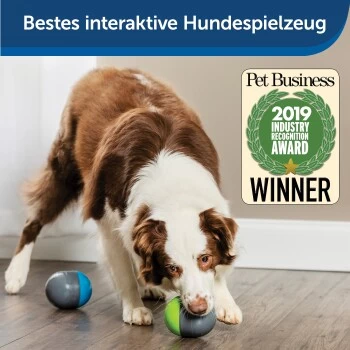 PetSafe Elektronisches Hundespielzeug Ricochet – Bild 2