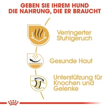 ROYAL CANIN Bulldog Adult 3 Kg – Bild 5