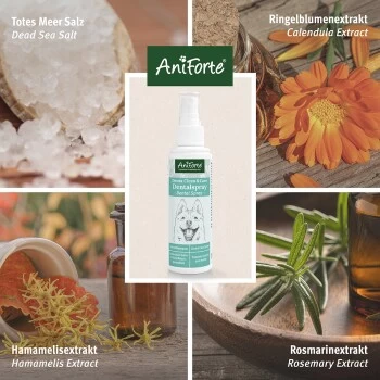 Aniforte Dentalspray Zahnpflege Spray 100ml – Bild 4